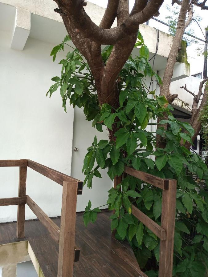 Estudio Zona Centro Cerca De La Terminal Ado カンクン エクステリア 写真