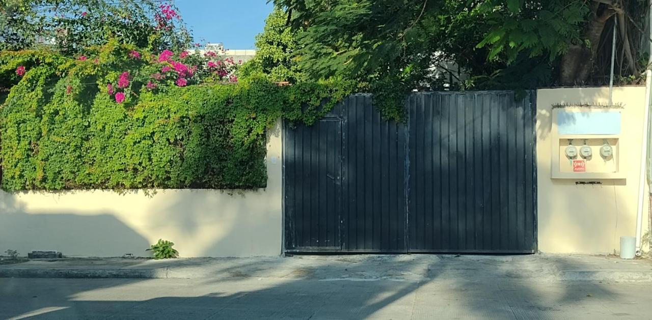 Estudio Zona Centro Cerca De La Terminal Ado カンクン エクステリア 写真