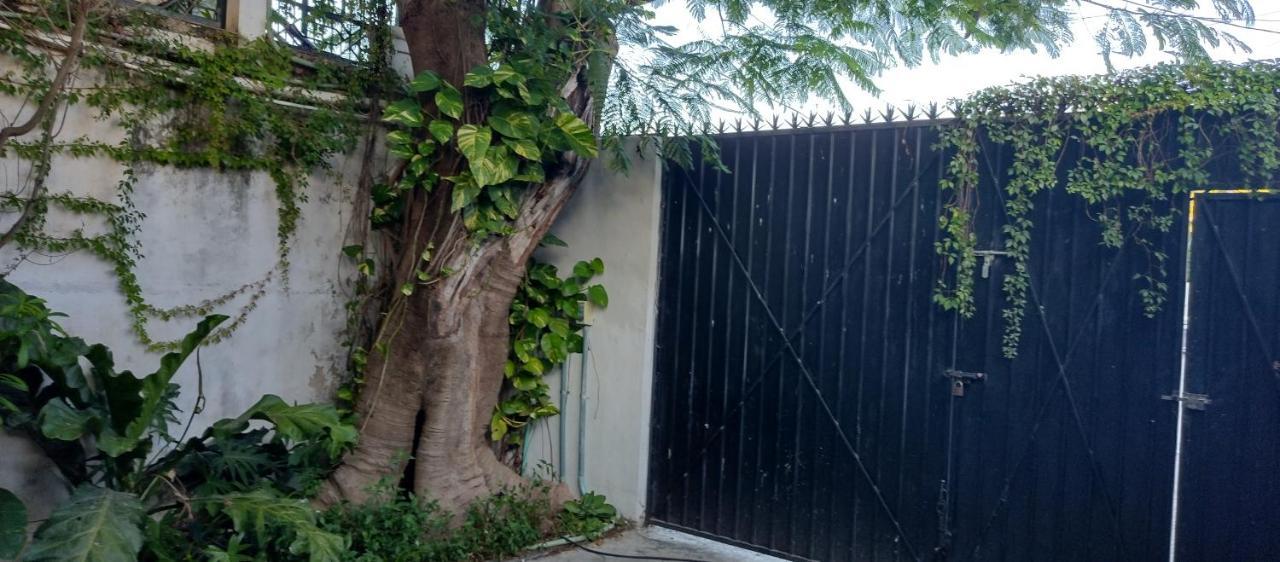 Estudio Zona Centro Cerca De La Terminal Ado カンクン エクステリア 写真