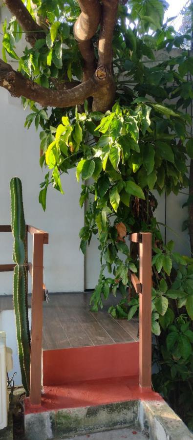Estudio Zona Centro Cerca De La Terminal Ado カンクン エクステリア 写真