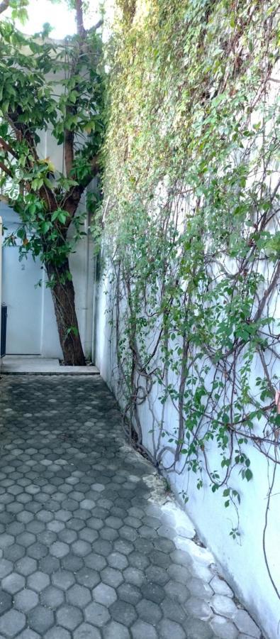 Estudio Zona Centro Cerca De La Terminal Ado カンクン エクステリア 写真